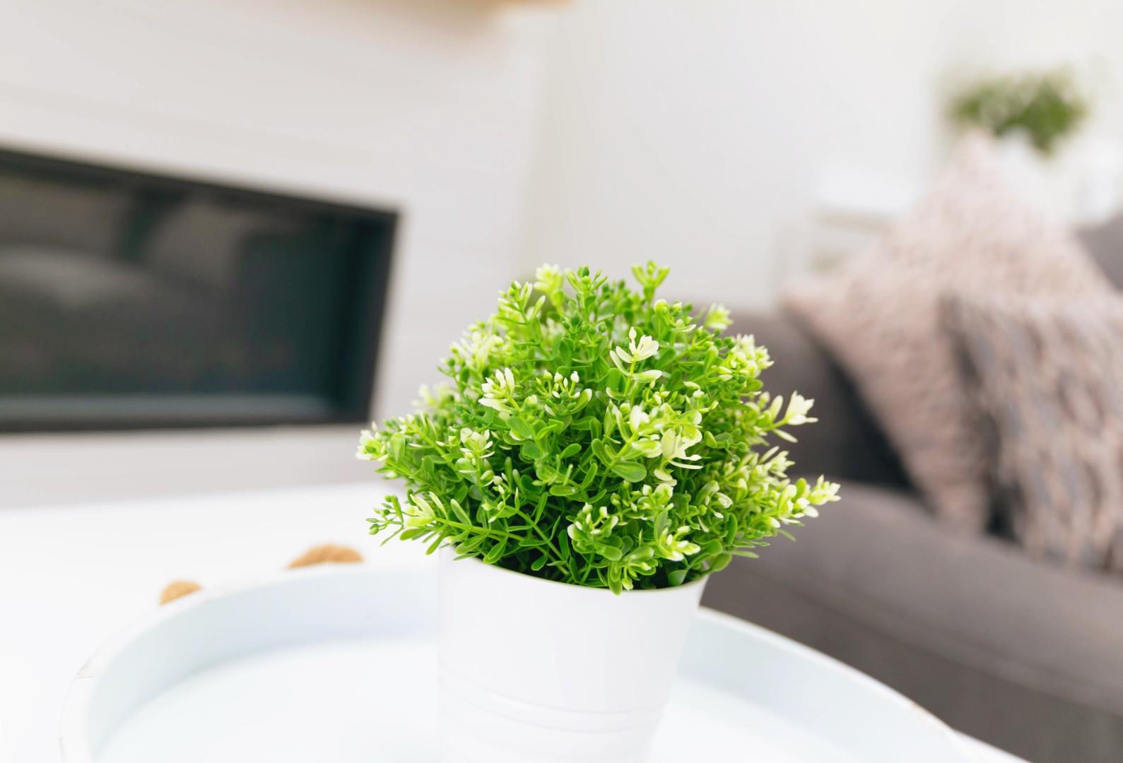 Oxwich, Swansea, SA3 1LS